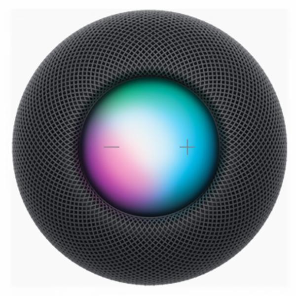 Caixa de Som Apple MY5G2LL/A Home Pod Mini - Cinza