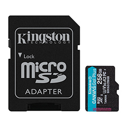 Cartão de Memória Micro SD Kingston Canvas GO Plus U3 V30 256GB
