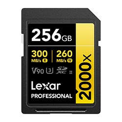 Cartão de Memória SD Lexar Professional Gold Series 2000X C10 U3 V90 8K 256GB -  LSD2000256G-BNNNG