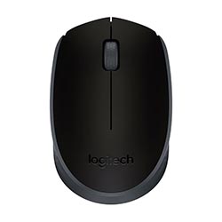 Mouse Logitech M170 Wireless - Preto (910-004940)