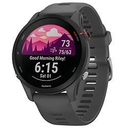 Relógio Garmin Forerunner 255 - Cinza (010-02641-00)