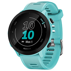 Relógio Garmin Forerunner 55 - Azul (010-02562-02)