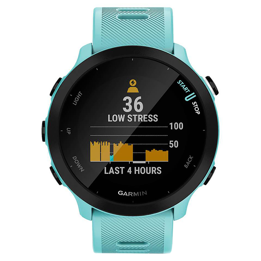 RELOGIO GARMIN FORERUNNER 55 AZUL 010-02562-02