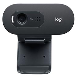 Webcam Logitech C505 720P / HD - 960-001367